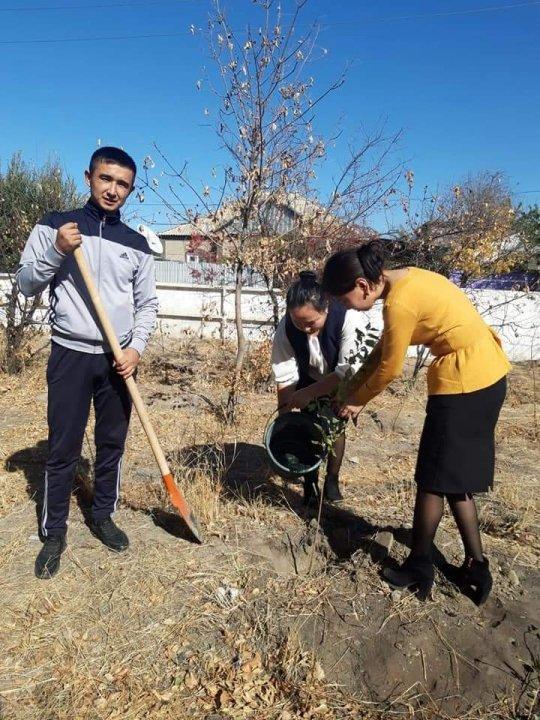 Мектебіміздің жас мамандары мектеп ауласына тал егу сәті