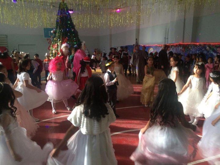 Жасыл шырша жанында